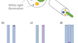 FIGURE 1. Schematic representation of the distal end of a spectroscopic endoscope (a), along with the schematic representation of typical spectral probe configuration for infrared (b), Raman (c), and fluorescence spectroscopy (d).