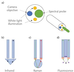 FIGURE 1. Schematic representation of the distal end of a spectroscopic endoscope (a), along with the schematic representation of typical spectral probe configuration for infrared (b), Raman (c), and fluorescence spectroscopy (d). FIGURE 1. Schematic representation of the distal end of a spectroscopic endoscope (a), along with the schematic representation of typical spectral probe configuration for infrared (b), Raman (c), and fluorescence spectroscopy (d).