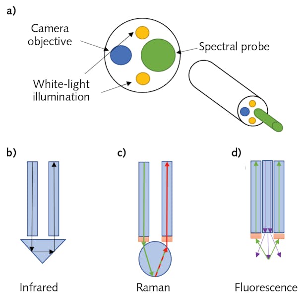 FIGURE 1. Schematic representation of the distal end of a spectroscopic endoscope (a), along with the schematic representation of typical spectral probe configuration for infrared (b), Raman (c), and fluorescence spectroscopy (d).