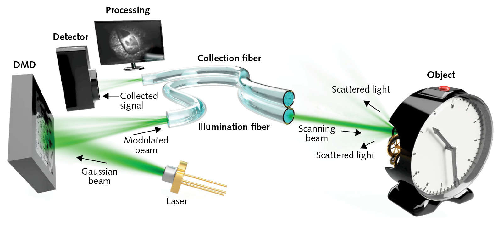 A sequence of holograms displayed by a digital micromirror device spatially shapes the wavefronts coupled into a multimode optical fiber in such a way that a far-field focus scans the distal field of view.