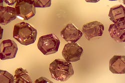 The microdiamonds used as biological tracers are about 200 µm across, less than one-hundredth of an inch. The microdiamonds used as biological tracers are about 200 µm across, less than one-hundredth of an inch.
