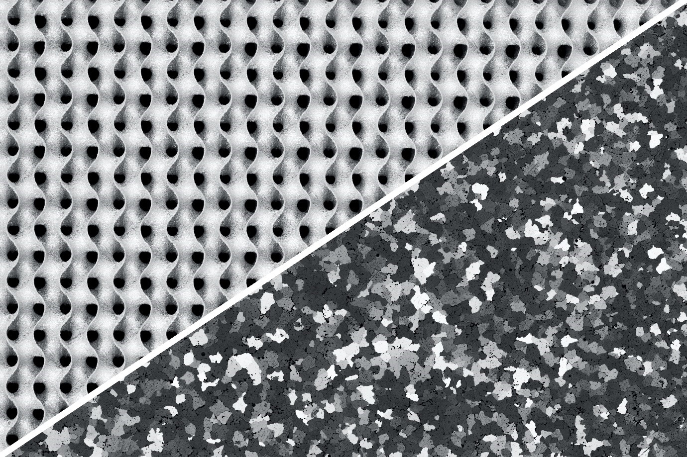 Alloyed Champp 60ae6ac722c0a