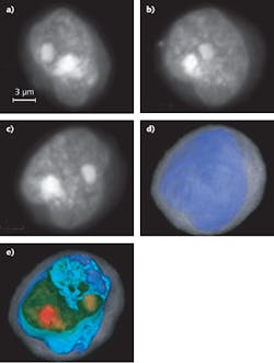 FIGURE 1. Two-dimensional (2D) maximum-intensity projections in different orientations are created from a 3D reconstruction of a squamous-cancer cell (a-c). The figure also shows the same cell from the perspective in (c), whole and cropped, where coloring and opacity have been adjusted to enhance cell features. In (d) and (e), cytoplasm is in translucent gray, the nuclear wall is in opaque blue, and the nucleoplasm is rendered in a green to red gradient, with nucleoli in opaque red.