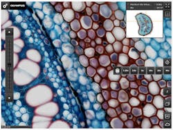 Olympus's free OlyVIA Mobile iPad App provides flexible access to microscopy images at various resolutions. Olympus's free OlyVIA Mobile iPad App provides flexible access to microscopy images at various resolutions.