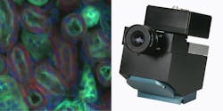 FIGURE 4. Headwall Photonics' hyperspectral imaging device (right) reveals spatial and spectroscopic features of tissues, such as these cancerous kidney cells (left). FIGURE 4. Headwall Photonics' hyperspectral imaging device (right) reveals spatial and spectroscopic features of tissues, such as these cancerous kidney cells (left).