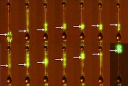 The Okinawa Institute of Science and Technology (OIST) has devised a new glass wetting technique to fabricate microlasers. A phosphate glass wire doped with ytterbium and erbium is melted and allowed to flow around a hollow silica capillary creating a single-wavelength microlaser. The Okinawa Institute of Science and Technology (OIST) has devised a new glass wetting technique to fabricate microlasers. A phosphate glass wire doped with ytterbium and erbium is melted and allowed to flow around a hollow silica capillary creating a single-wavelength microlaser.