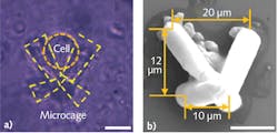 FIGURE 1. Femtosecond lasers can produce fine features in photoresist, such as these micropillars that subsequently self-assembled into a butterfly trap. Optical tweezers then bring single cells into the traps, where this photomicrograph (a) and electron micrograph (b) show they are retained. FIGURE 1. Femtosecond lasers can produce fine features in photoresist, such as these micropillars that subsequently self-assembled into a butterfly trap. Optical tweezers then bring single cells into the traps, where this photomicrograph (a) and electron micrograph (b) show they are retained.