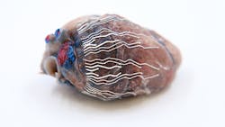 2107 Lfw Nb 1 60d1e52305801 2107 Lfw Nb 1 60d1e52305801