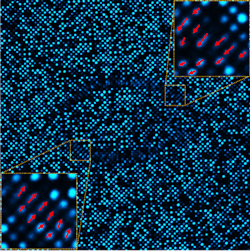 A structured array of photoluminescent nanopillars is a sensitive measure of force on a subcellular scale, here indicating the force applied by an adhered cardiomyocyte. A structured array of photoluminescent nanopillars is a sensitive measure of force on a subcellular scale, here indicating the force applied by an adhered cardiomyocyte.
