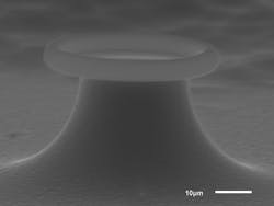 FIGURE 4. Researchers at USC have demonstrated the first integrated, submilliwatt erbium:ytterbium microlaser fabricated on a silicon platform–amenable to integration with other silicon components to address applications in communications and chemical-agent detection. A scanning electron micrograph shows the microlaser fabricated on a silicon wafer. FIGURE 4. Researchers at USC have demonstrated the first integrated, submilliwatt erbium:ytterbium microlaser fabricated on a silicon platform–amenable to integration with other silicon components to address applications in communications and chemical-agent detection. A scanning electron micrograph shows the microlaser fabricated on a silicon wafer.