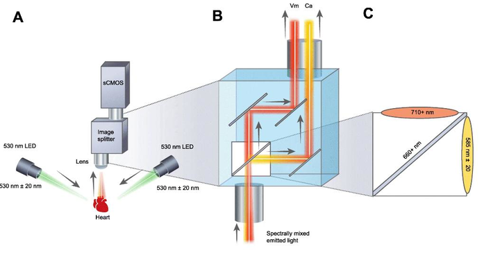 Optical Design 601add0cc30fc 60b8ea387067c