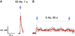Light activation of ventral tegmental area (VTA) dopaminergic neurons can mimic (A) phasic and (B) tonic dopamine (DA) release. While the phasic protocol had no effect on ethanol consumption, the tonic protocol reduced ethanol consumption by 54% and doubled the time to the first lick of ethanol. The data is presented as a standard error of mean (SEM) where the mean is in red and the two sets of SEM points are in black. Light activation of ventral tegmental area (VTA) dopaminergic neurons can mimic (A) phasic and (B) tonic dopamine (DA) release. While the phasic protocol had no effect on ethanol consumption, the tonic protocol reduced ethanol consumption by 54% and doubled the time to the first lick of ethanol. The data is presented as a standard error of mean (SEM) where the mean is in red and the two sets of SEM points are in black.