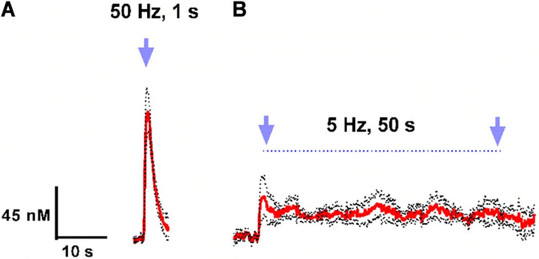 Light activation of ventral tegmental area (VTA) dopaminergic neurons can mimic (A) phasic and (B) tonic dopamine (DA) release. While the phasic protocol had no effect on ethanol consumption, the tonic protocol reduced ethanol consumption by 54% and doubled the time to the first lick of ethanol. The data is presented as a standard error of mean (SEM) where the mean is in red and the two sets of SEM points are in black.