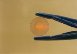 The AgCl window holds the protein rhodopsin which is used in research at the BU Photonics Center to study the initial molecular events that occur in vision. Rhodopsin, which serves as a light receptor, is now being incorporated into nerve cells allowing researchers to selectively control the activity of specific nerves in a complex neural network such as the brain. The AgCl window holds the protein rhodopsin which is used in research at the BU Photonics Center to study the initial molecular events that occur in vision. Rhodopsin, which serves as a light receptor, is now being incorporated into nerve cells allowing researchers to selectively control the activity of specific nerves in a complex neural network such as the brain.