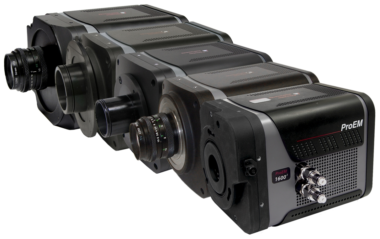 1210 Lfw Prod14 Princeton 60f99fec5ecd0