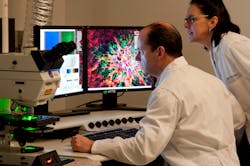National Eye Institute scientists observe ocular tissue samples under a laser scanning microscope. National Eye Institute scientists observe ocular tissue samples under a laser scanning microscope.