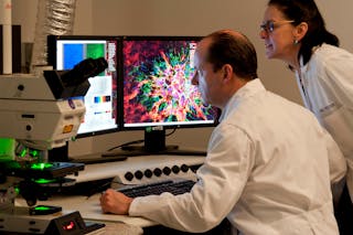 National Eye Institute scientists observe ocular tissue samples under a laser scanning microscope.