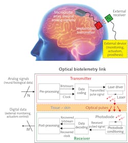 FIGURE 1. An optical data transmission protocol inspired by ultra-wideband pulsed data coding has demonstrated the ability to communicate at 300 Mbit/s through 3.5 mm of porcine skin. FIGURE 1. An optical data transmission protocol inspired by ultra-wideband pulsed data coding has demonstrated the ability to communicate at 300 Mbit/s through 3.5 mm of porcine skin.