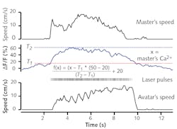 FIGURE 3. The fluorescence detected in a master mouse’s brain is converted to pulses that trigger neural firing in an avatar mouse’s brain, and the avatar mouse then mirrors the locomotion of the master mouse. FIGURE 3. The fluorescence detected in a master mouse’s brain is converted to pulses that trigger neural firing in an avatar mouse’s brain, and the avatar mouse then mirrors the locomotion of the master mouse.