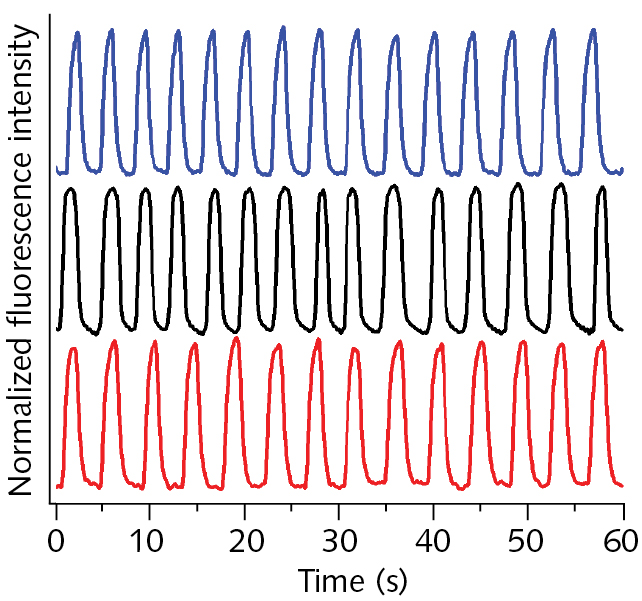 FIGURE 1. Comparison of droplet formation rate and signal intensity for three speeds using each flow generation technique measured for a 500 nM resorufin solution on an epifluorescence microscope. Droplet streams for a syringe pump (red trace), a peristaltic pump (black trace), and a Venturi pump (blue trace) are shown.