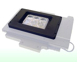 3 Lfw 11 Prior 60fb0482d2224 3 Lfw 11 Prior 60fb0482d2224