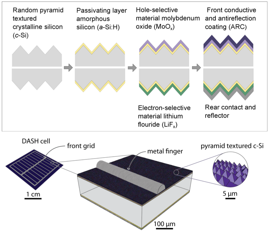 A cross-section of a solar cell design uses a combination of molybdenum oxide and lithium fluoride (top, cross-section). These materials allow the device to achieve high efficiency in converting sunlight to energy without the need for doping. The bottom images shows the dimensions of the DASH solar cell components.