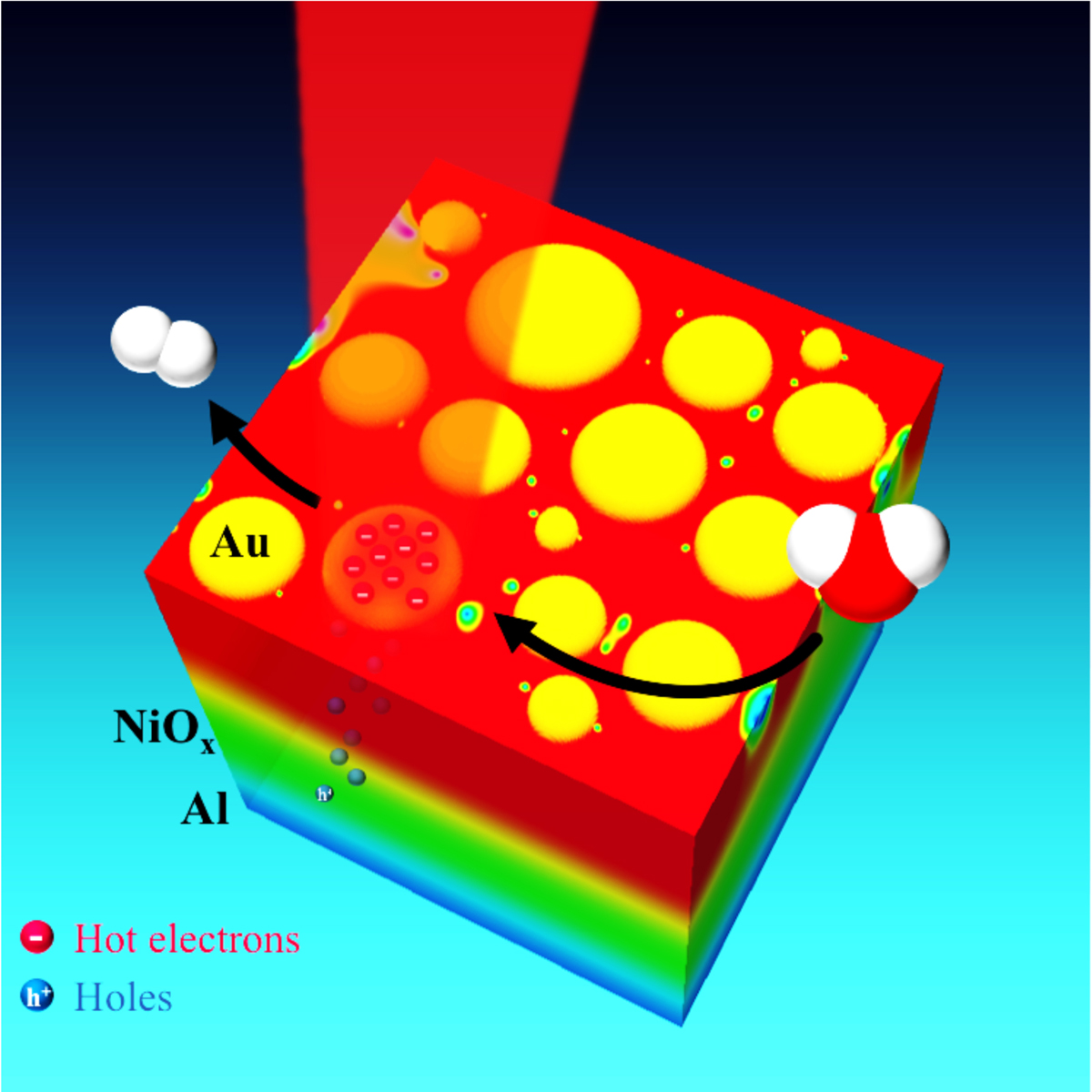 Rice University researchers have demonstrated an efficient new way to capture the energy from sunlight and convert it into renewable energy (in the form of hydrogen) by splitting water molecules.