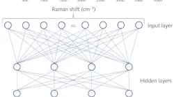 FIGURE 1. Schematic representation of a simple neural network for spectral processing consisting of two hidden layers, each with four neurons and a binary output layer.