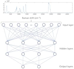 FIGURE 1. Schematic representation of a simple neural network for spectral processing consisting of two hidden layers, each with four neurons and a binary output layer. FIGURE 1. Schematic representation of a simple neural network for spectral processing consisting of two hidden layers, each with four neurons and a binary output layer.