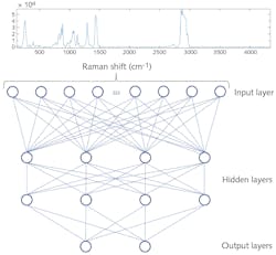 FIGURE 1. Schematic representation of a simple neural network for spectral processing consisting of two hidden layers, each with four neurons and a binary output layer.