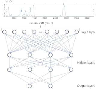 FIGURE 1. Schematic representation of a simple neural network for spectral processing consisting of two hidden layers, each with four neurons and a binary output layer.