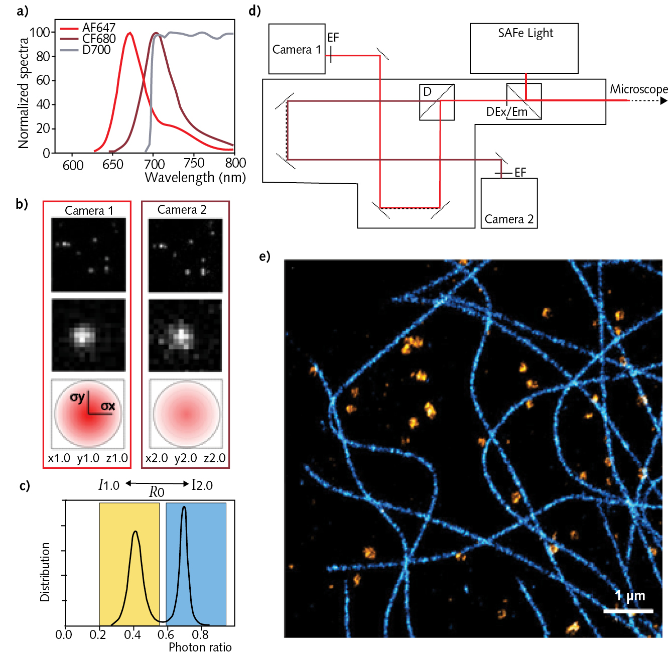 FIGURE 1. The spectral demixing principle shows normalized spectra of two typical red dyes, AF647 and CF680, with the long-pass dichroic filter at 700 nm to separate the two emission (a); an example of PSF recordings on Cam1 and Cam2 (b, top), zoom-in (b, middle), and 2D Gaussian PSF representation to evaluate center position and photon counting (b, bottom); photon ratio distribution and an example of ranges chosen for ƛ assignment (c); an optical pathway adopted for the spectral separation, with a first dichroic separate excitation from emission&mdash;the emission light is then split with a second long-pass dichroic into the two cameras (d); and an example of image reconstruction of a Cos7 cell labeled for tubulin AF647 and Clathrin CF680 (e).