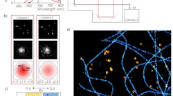 FIGURE 1. The spectral demixing principle shows normalized spectra of two typical red dyes, AF647 and CF680, with the long-pass dichroic filter at 700 nm to separate the two emission (a); an example of PSF recordings on Cam1 and Cam2 (b, top), zoom-in (b, middle), and 2D Gaussian PSF representation to evaluate center position and photon counting (b, bottom); photon ratio distribution and an example of ranges chosen for ƛ assignment (c); an optical pathway adopted for the spectral separation, with a first dichroic separate excitation from emission—the emission light is then split with a second long-pass dichroic into the two cameras (d); and an example of image reconstruction of a Cos7 cell labeled for tubulin AF647 and Clathrin CF680 (e).