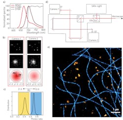 FIGURE 1. The spectral demixing principle shows normalized spectra of two typical red dyes, AF647 and CF680, with the long-pass dichroic filter at 700 nm to separate the two emission (a); an example of PSF recordings on Cam1 and Cam2 (b, top), zoom-in (b, middle), and 2D Gaussian PSF representation to evaluate center position and photon counting (b, bottom); photon ratio distribution and an example of ranges chosen for ƛ assignment (c); an optical pathway adopted for the spectral separation, with a first dichroic separate excitation from emission—the emission light is then split with a second long-pass dichroic into the two cameras (d); and an example of image reconstruction of a Cos7 cell labeled for tubulin AF647 and Clathrin CF680 (e). FIGURE 1. The spectral demixing principle shows normalized spectra of two typical red dyes, AF647 and CF680, with the long-pass dichroic filter at 700 nm to separate the two emission (a); an example of PSF recordings on Cam1 and Cam2 (b, top), zoom-in (b, middle), and 2D Gaussian PSF representation to evaluate center position and photon counting (b, bottom); photon ratio distribution and an example of ranges chosen for ƛ assignment (c); an optical pathway adopted for the spectral separation, with a first dichroic separate excitation from emission—the emission light is then split with a second long-pass dichroic into the two cameras (d); and an example of image reconstruction of a Cos7 cell labeled for tubulin AF647 and Clathrin CF680 (e).