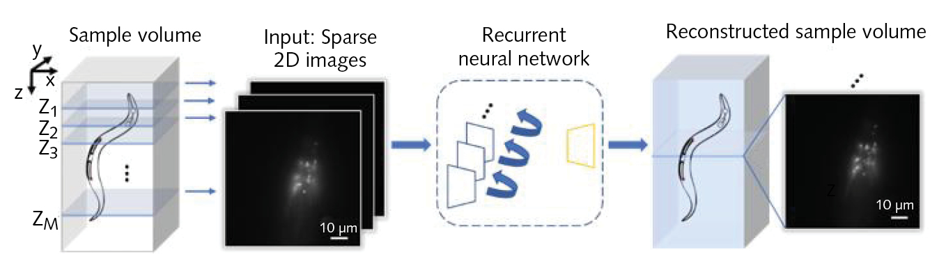 2108 Lfw Nb1 6109ad1755b75