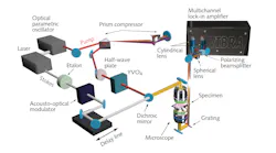 Schematic representations of the optical setup; broadband vibrational imaging based on multichannel lock-in detection. Stimulated Raman scattering microscopy requires precise design. A single ultrafast pulse provides the Stokes pulse and sources a broadband pulse from an optical parametric oscillator. The broadband pulse is pre-compensated for dispersion in a grating compressor, and separated into a reference and pump pulse, which are spectrally dispersed and simultaneously measured by linear arrays of balanced photodetectors.