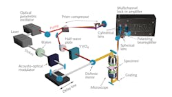 Schematic representations of the optical setup; broadband vibrational imaging based on multichannel lock-in detection. Stimulated Raman scattering microscopy requires precise design. A single ultrafast pulse provides the Stokes pulse and sources a broadband pulse from an optical parametric oscillator. The broadband pulse is pre-compensated for dispersion in a grating compressor, and separated into a reference and pump pulse, which are spectrally dispersed and simultaneously measured by linear arrays of balanced photodetectors. Schematic representations of the optical setup; broadband vibrational imaging based on multichannel lock-in detection. Stimulated Raman scattering microscopy requires precise design. A single ultrafast pulse provides the Stokes pulse and sources a broadband pulse from an optical parametric oscillator. The broadband pulse is pre-compensated for dispersion in a grating compressor, and separated into a reference and pump pulse, which are spectrally dispersed and simultaneously measured by linear arrays of balanced photodetectors.