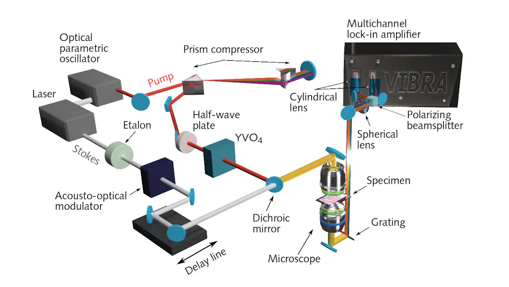 Ultra Fast Raman Spectroscopy Raman detection refinements offer detailed chemical imaging | Laser ...