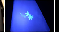 Embroidery using fluorescent thread on the left-hand leaf, and phosphorescent thread on the two flowers. Both glow under a UV light (middle) but just the phosphorescent thread glows in the dark, and only briefly (right).