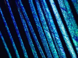 Barb tips of a male blue-winged leafbird show the presence of color-producing nanostructures. Barb tips of a male blue-winged leafbird show the presence of color-producing nanostructures.