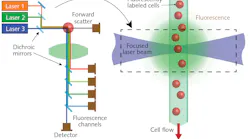 FIGURE 1. In flow cytometry, cells move in single file in a narrow flow stream, where they are excited by one or more laser beams.