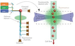 FIGURE 1. In flow cytometry, cells move in single file in a narrow flow stream, where they are excited by one or more laser beams. FIGURE 1. In flow cytometry, cells move in single file in a narrow flow stream, where they are excited by one or more laser beams.