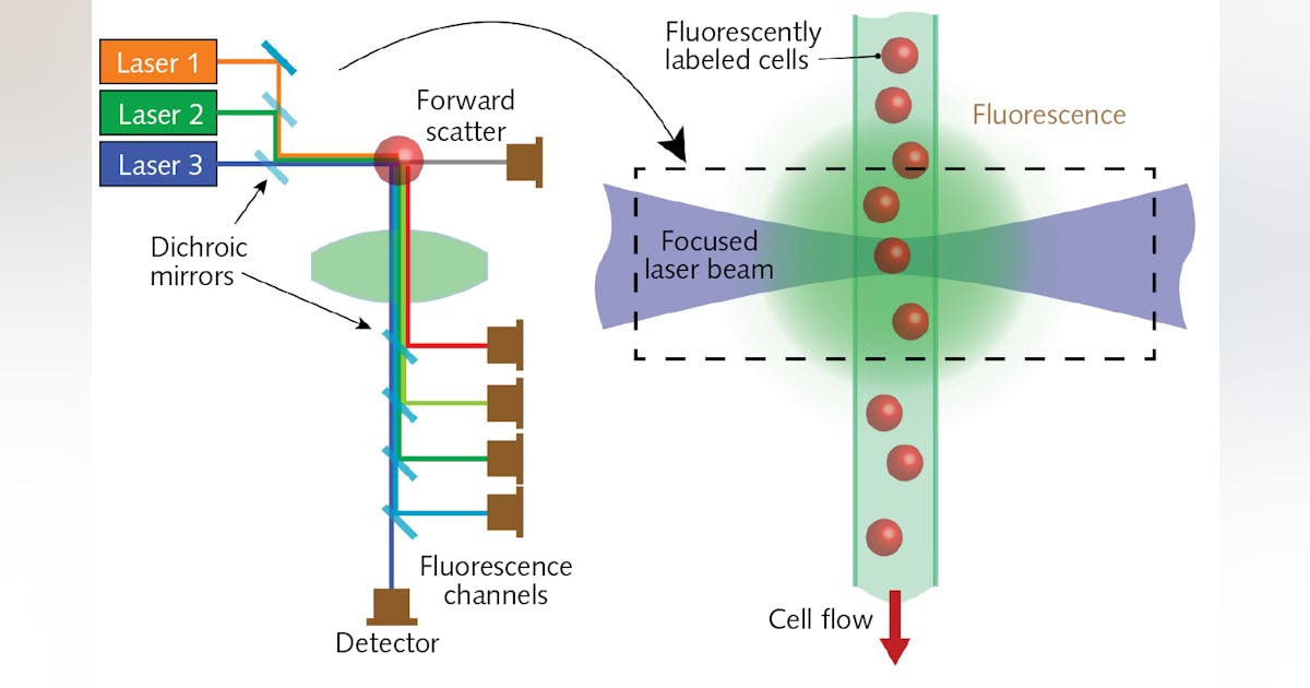 Trends in flow cytometry call for more new wavelengths | Laser World
