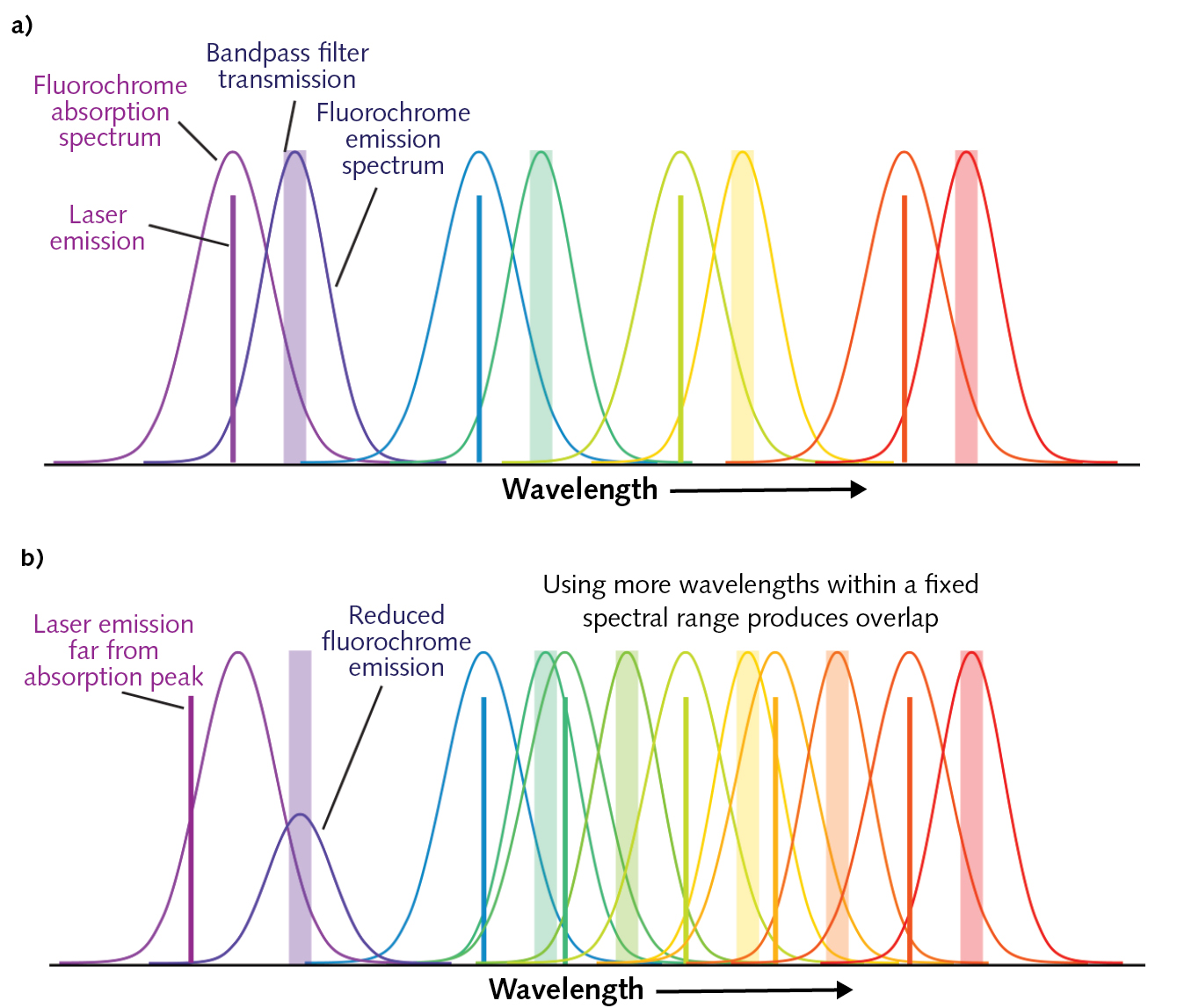 FIGURE 2. Ideally, each laser wavelength is near the absorption maximum for a fluorochrome, since this produces the most fluorescence. And the laser wavelengths and fluorescence peaks are far enough apart in wavelength to allow each to be separated using bandpass filters (a). Real systems sometimes use a laser that emits away from the absorption peak of the fluorochrome, resulting in less emitted light. Plus, trying to use more lasers within a specific spectral range tends to produce lots of overlap between excitation and emission, which makes the signals harder to resolve (b).