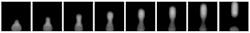 FIGURE 1. The last eight images out of a series of 12 [1]. Generation of one single droplet (0.003 s) containing Cy3-labeled DNA, captured with a frame rate of 4086 frames per second.