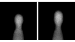 FIGURE 1. The last eight images out of a series of 12 [1]. Generation of one single droplet (0.003 s) containing Cy3-labeled DNA, captured with a frame rate of 4086 frames per second.