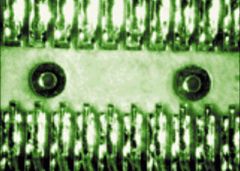 Low-temperature solder joints of 1 mm spaced pins for a microprocessor component of the F-22 jet fighter were prepared by a 30-W diode-laser system.
