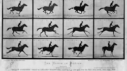 FIGURE 1. A series of photographs of a galloping horse at different points during its gait were taken by Eadweard Muybridge in 1878, illustrating a time-stretched event.