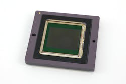 1 Lfw 13 Truesense 617aacc995058 1 Lfw 13 Truesense 617aacc995058