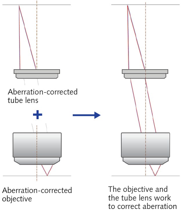 FIGURE 5. The mechanisms of aberration correction with the compensation-free method. The objective and tube lens correct aberration independently of each other.